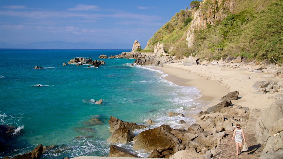 A rocky coastline with clear turquoise waters, a sandy beach, and a grassy hillside.