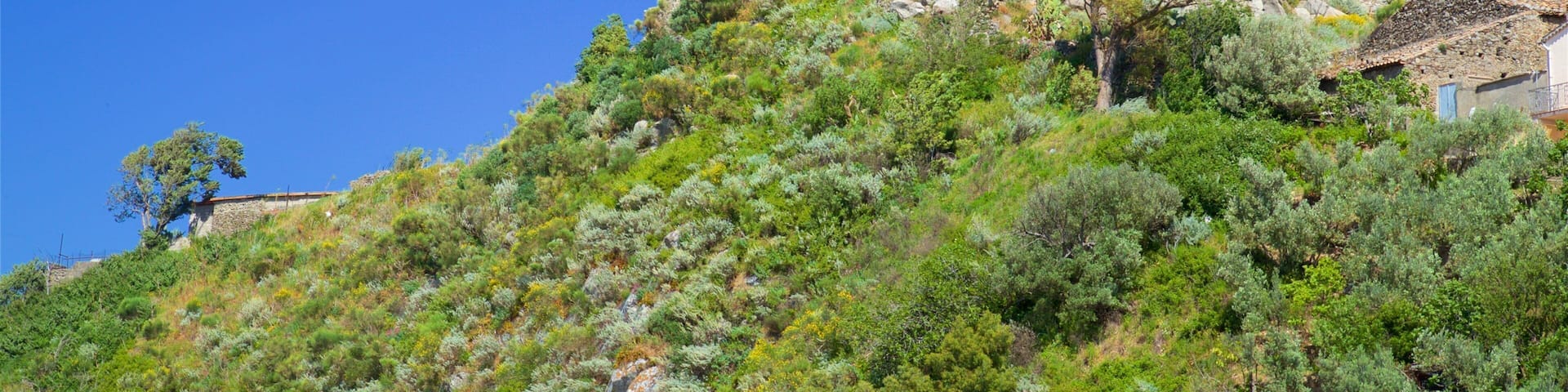 Castello Normanno Di Squillace