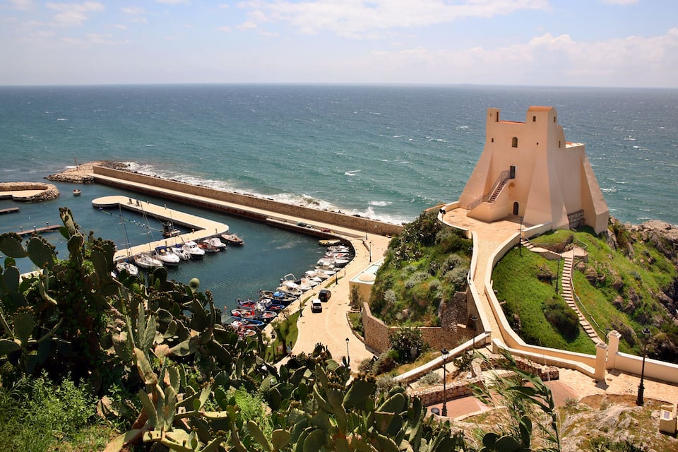 A coastal landscape with a historic fort, a marina with boats, and a cactus garden.