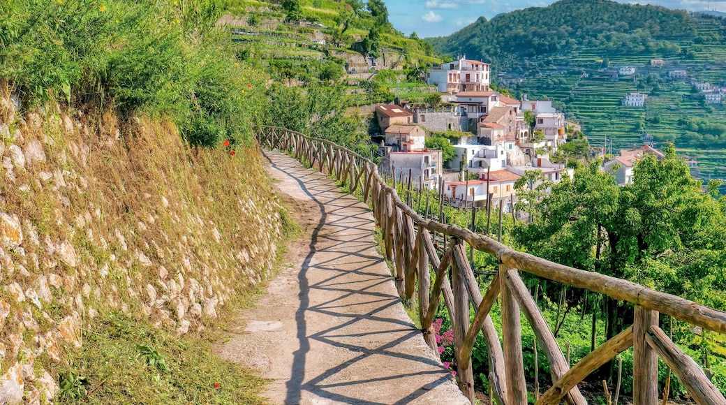 Ravello - Atrani vandring