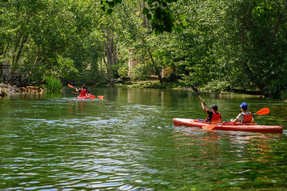 Two people kayaking on a calm river surrounded by lush green trees.