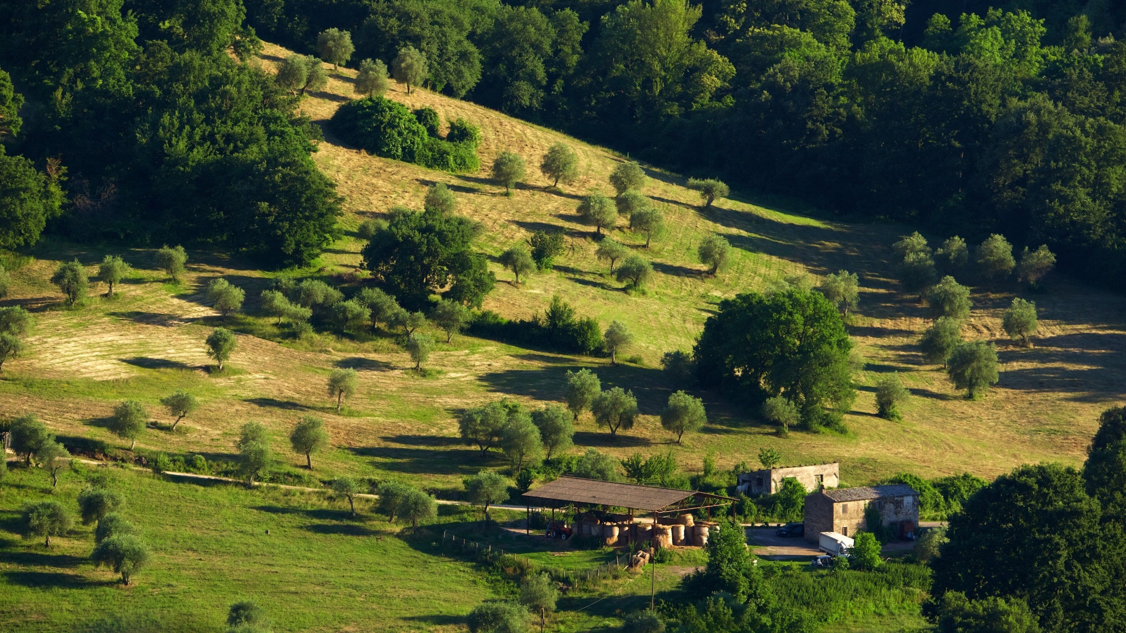 Civita di Bagnoregio