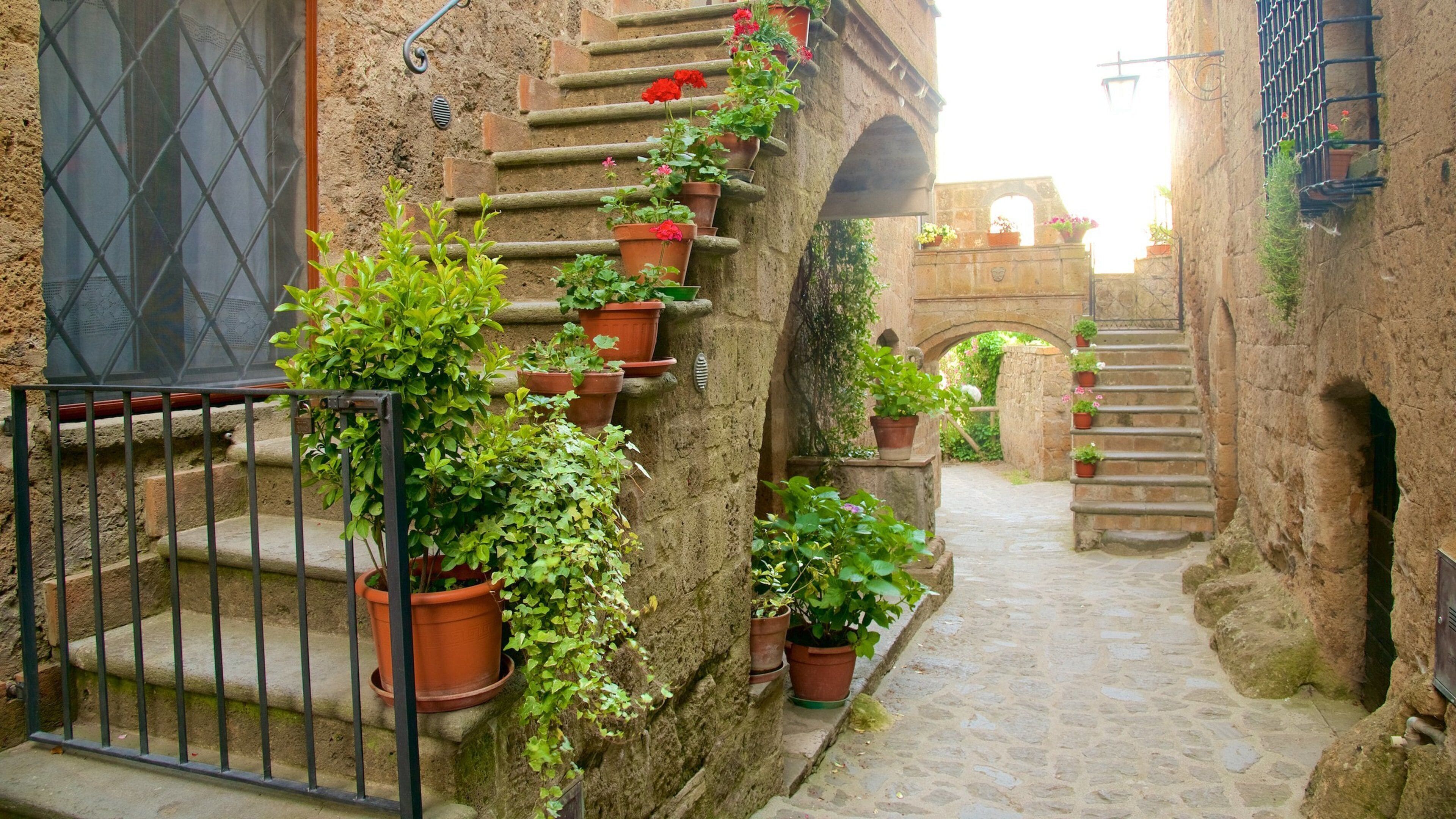 Bagnoregio featuring flowers