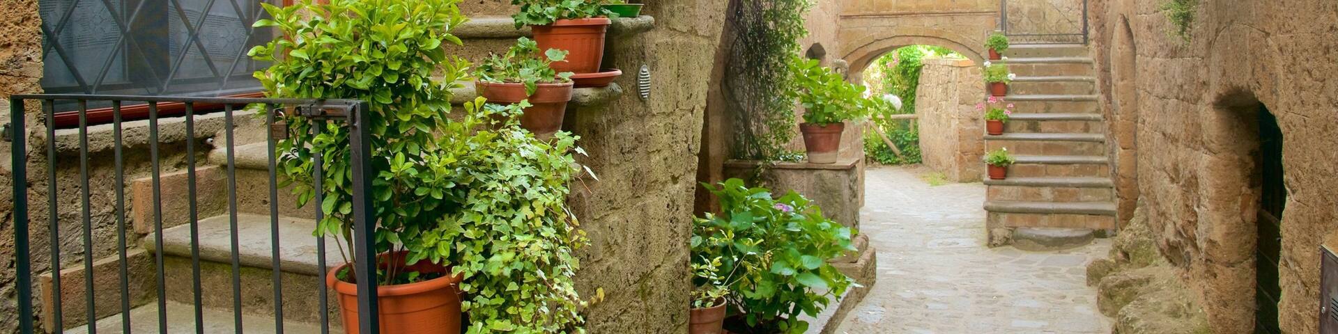 Bagnoregio featuring kukat