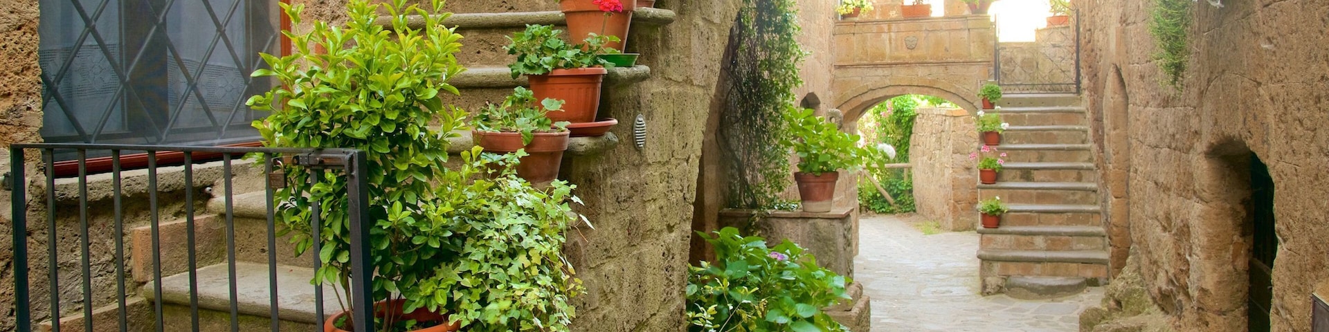 Bagnoregio caracterizando flores