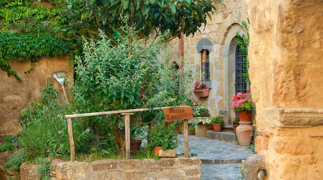 Bagnoregio mettant en vedette signalisation