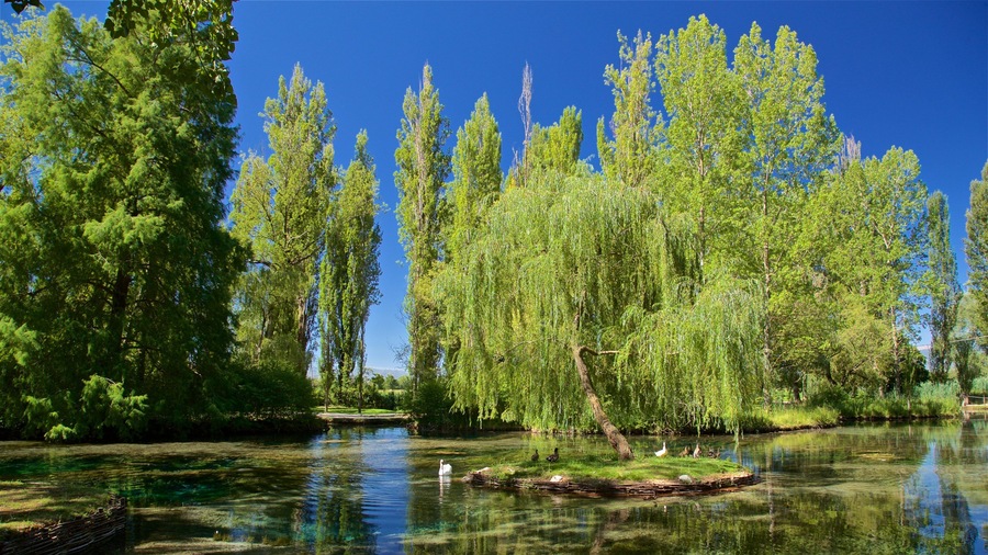 Springs of Clitunno showing a pond