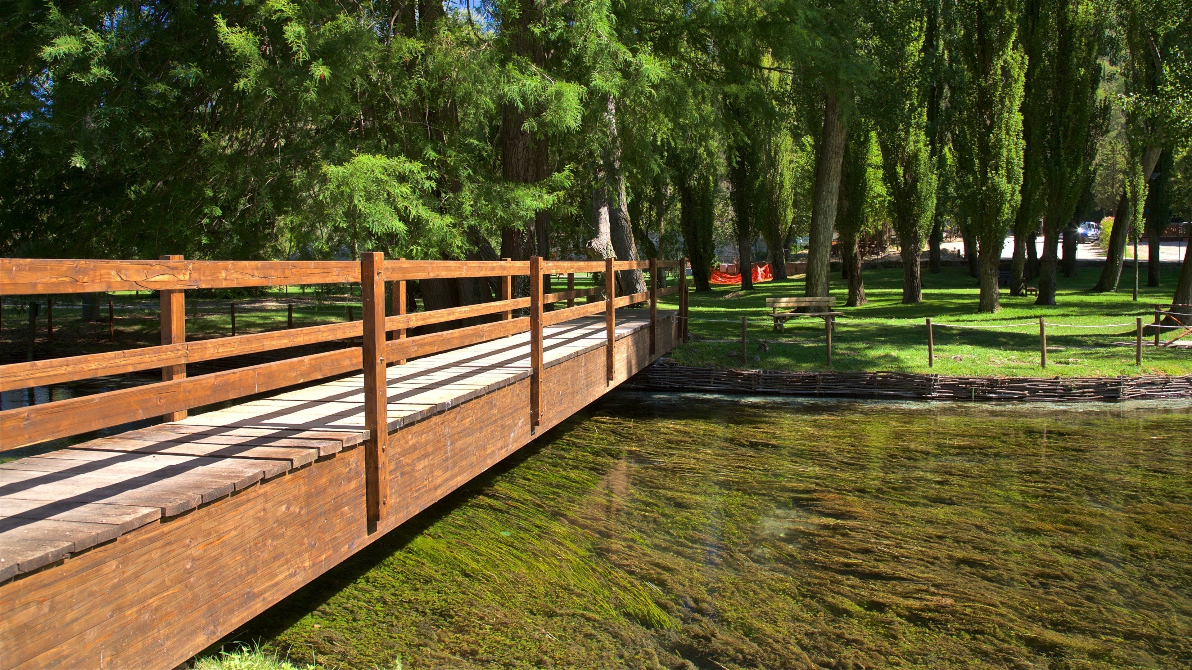 Springs of Clitunno showing a bridge, a garden and a river or creek