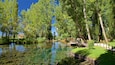 A clear pond surrounded by lush green trees and a small building in the background.