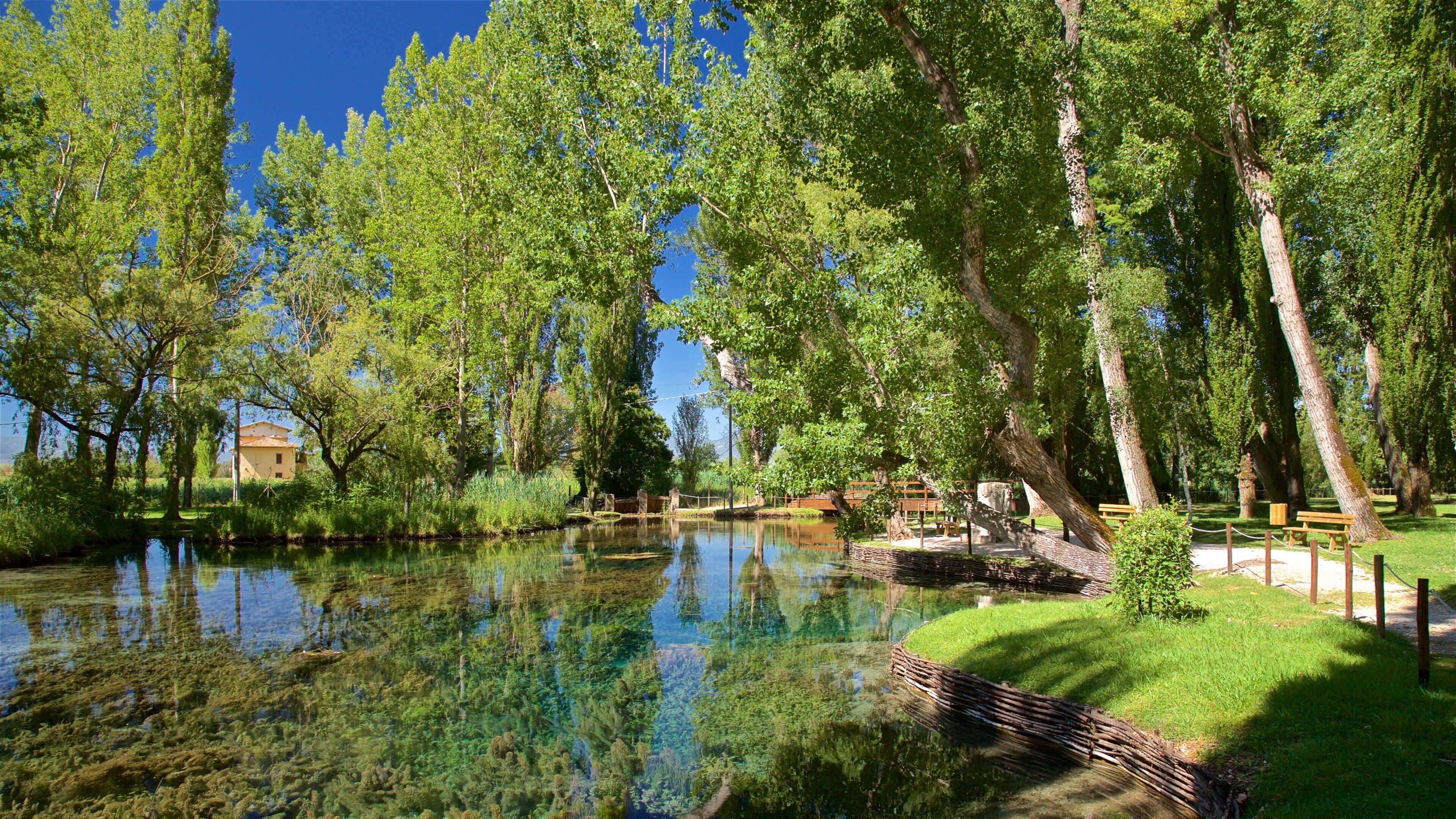 A clear pond surrounded by lush green trees and a small building in the background.