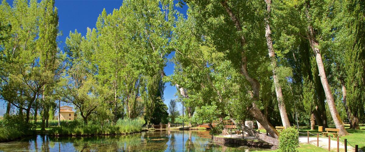 A clear pond surrounded by lush green trees and a small building in the background.