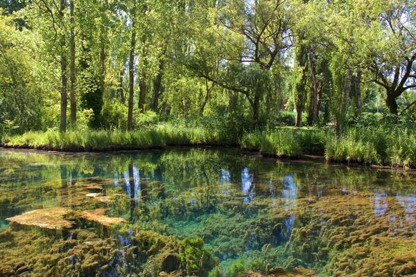 Sources du Clitunno montrant mare