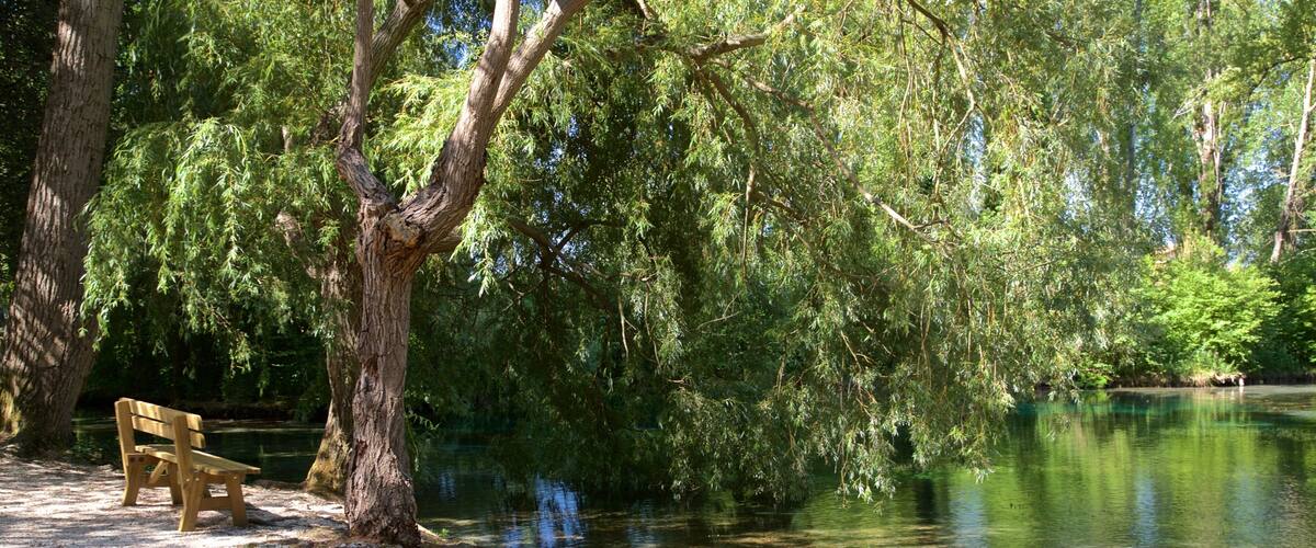 ํฐํฐ ๋ธ ํด๋ฆฌํฐ๋
ธ ์ ํน์ง ์ ์ ๊ณผ ์ฐ๋ชป