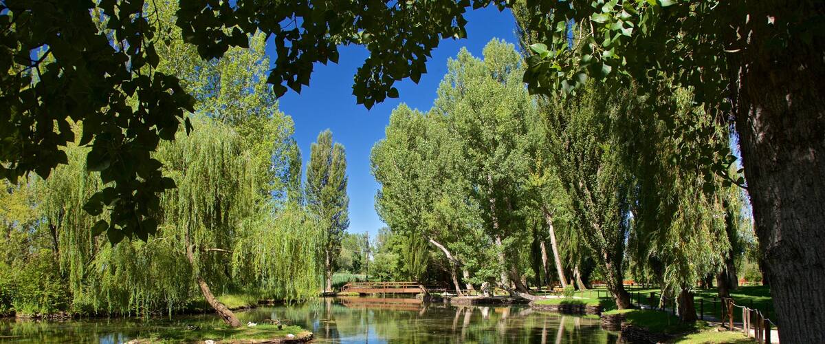 Springs of Clitunno featuring a garden and a pond