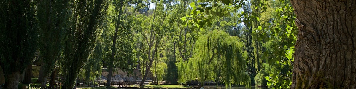 Die Quellen des Clitunno das einen Garten und Teich