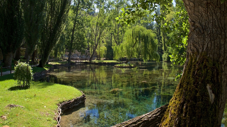 Manantiales de Clitunno mostrando un jardín y un estanque