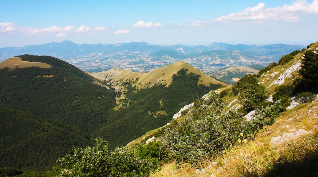 Grottes du mont Cucco