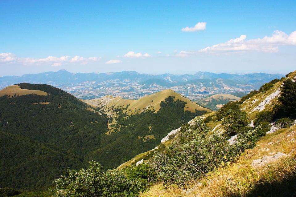 A mountainous landscape with rolling hills and dense forests.