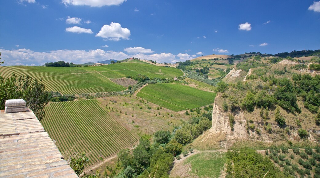 Church of Santa Maria della Rocca which includes landscape views and farmland