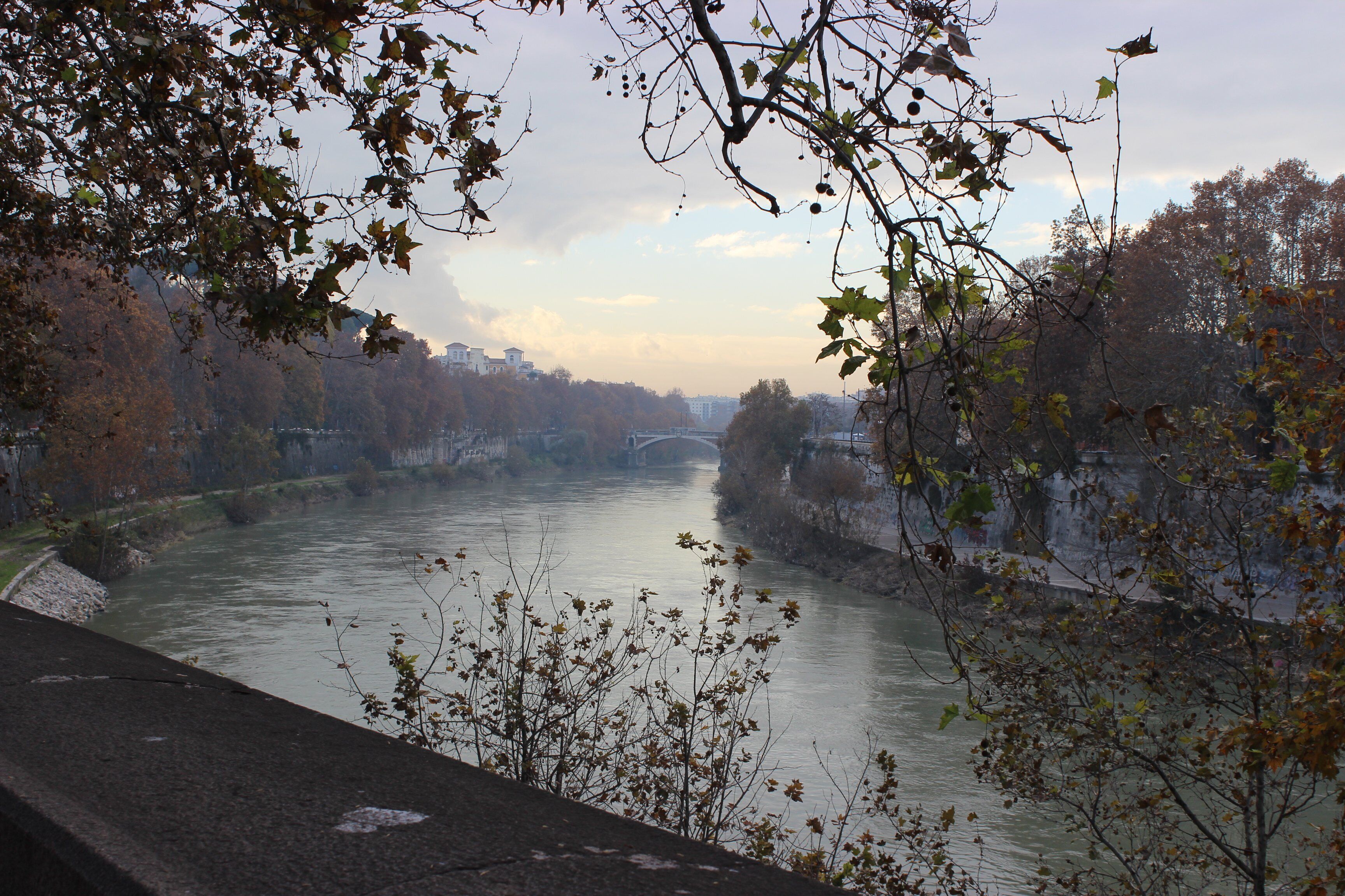 Tiber-elven