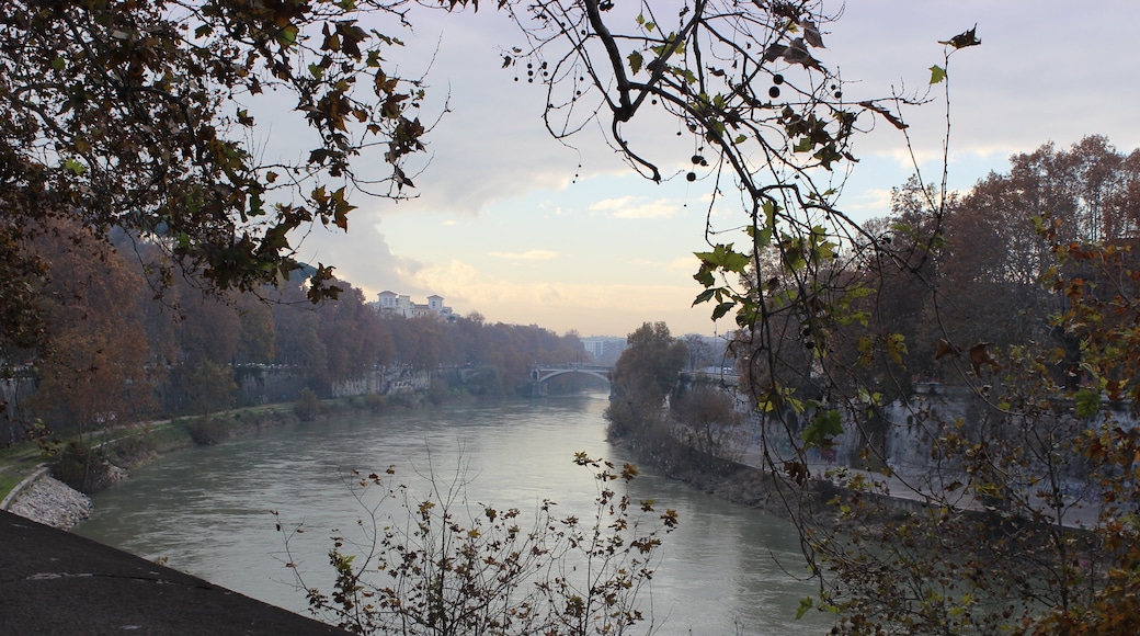 Tiber-elven