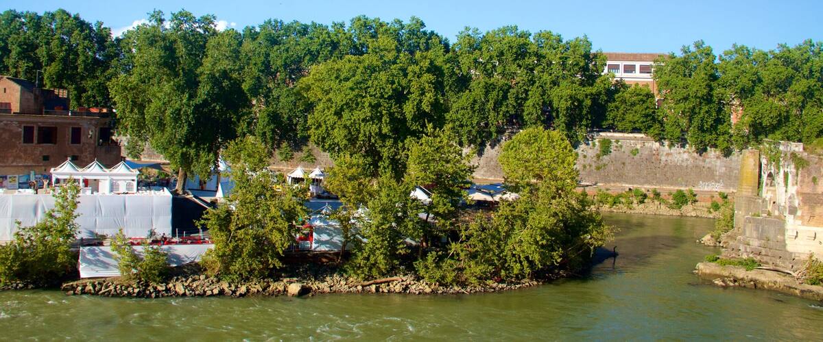 A river with a small island, surrounded by dense green trees and buildings along the riverbank.