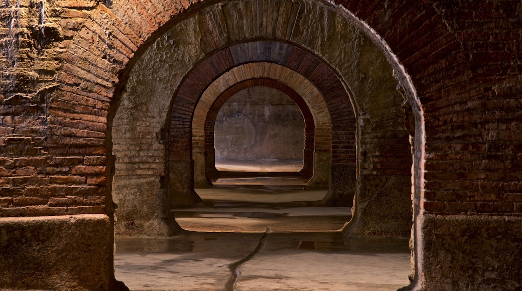 Roman Tanks フィーチャー 屋内の眺め と 遺跡・遺産