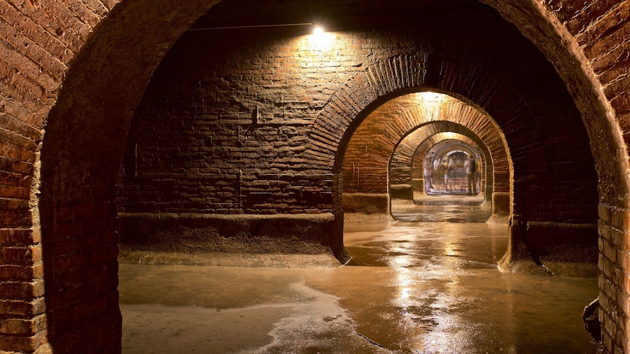 Roman Tanks 呈现出 內部景觀 和 傳統元素