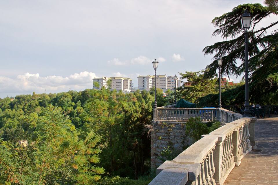 Un puente de piedra con barandilla, abundante vegetación y edificios al fondo.