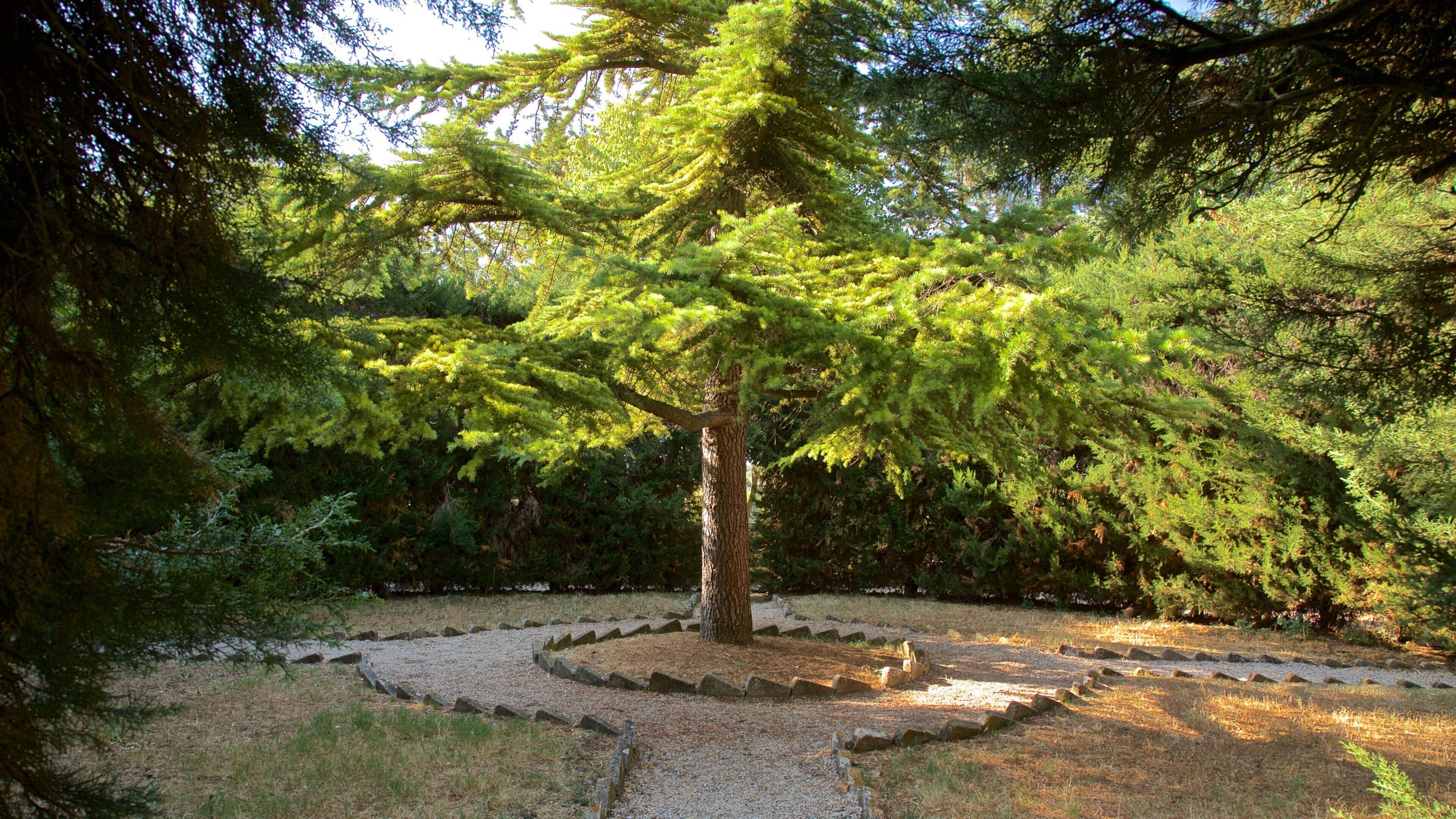 Villa Comunale dei Cappuccini featuring a park