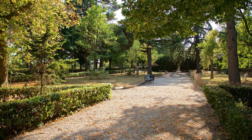 Villa Comunale dei Cappuccini