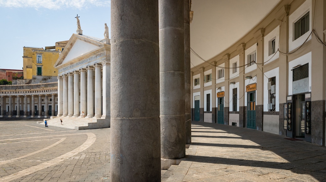 Pontificia Reale Basilica di San Giacomo degli Spagnoli showing heritage elements