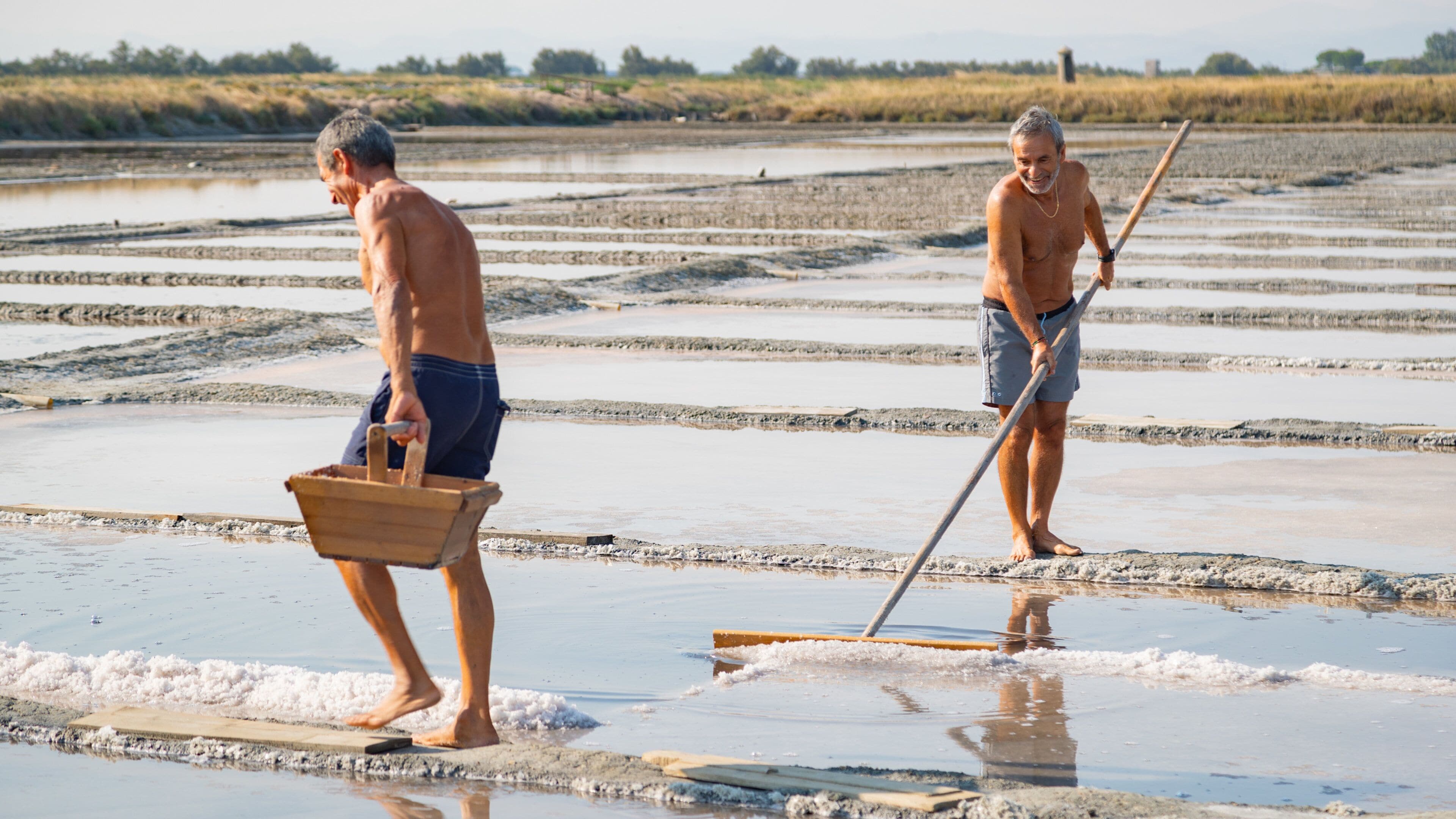 Cervia as well as an individual male