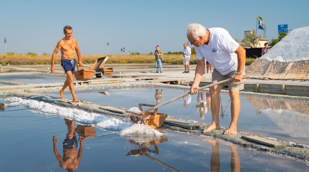 Parco della Salina di Cervia as well as an individual male