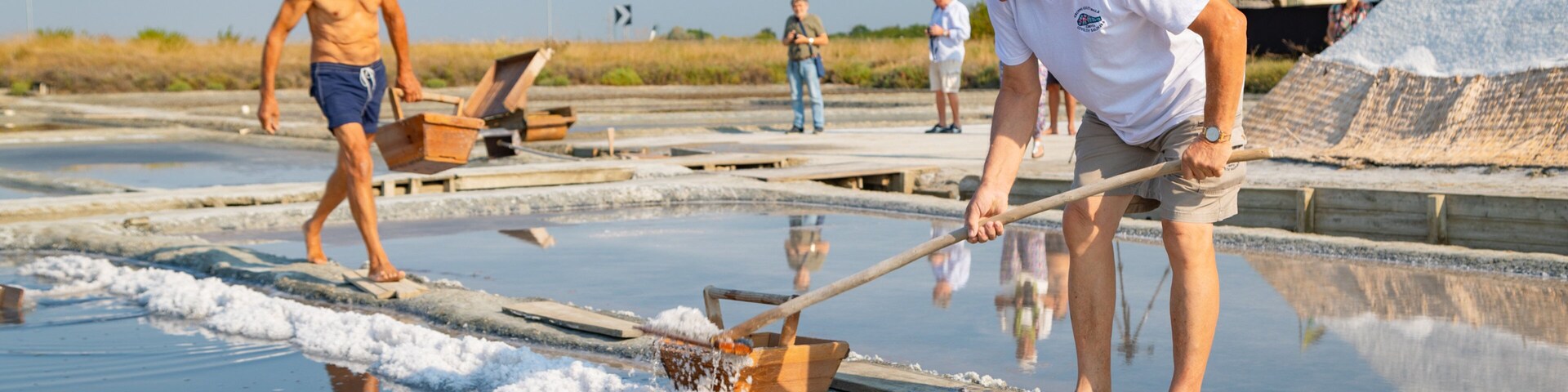 Parco della Salina di Cervia as well as an individual male