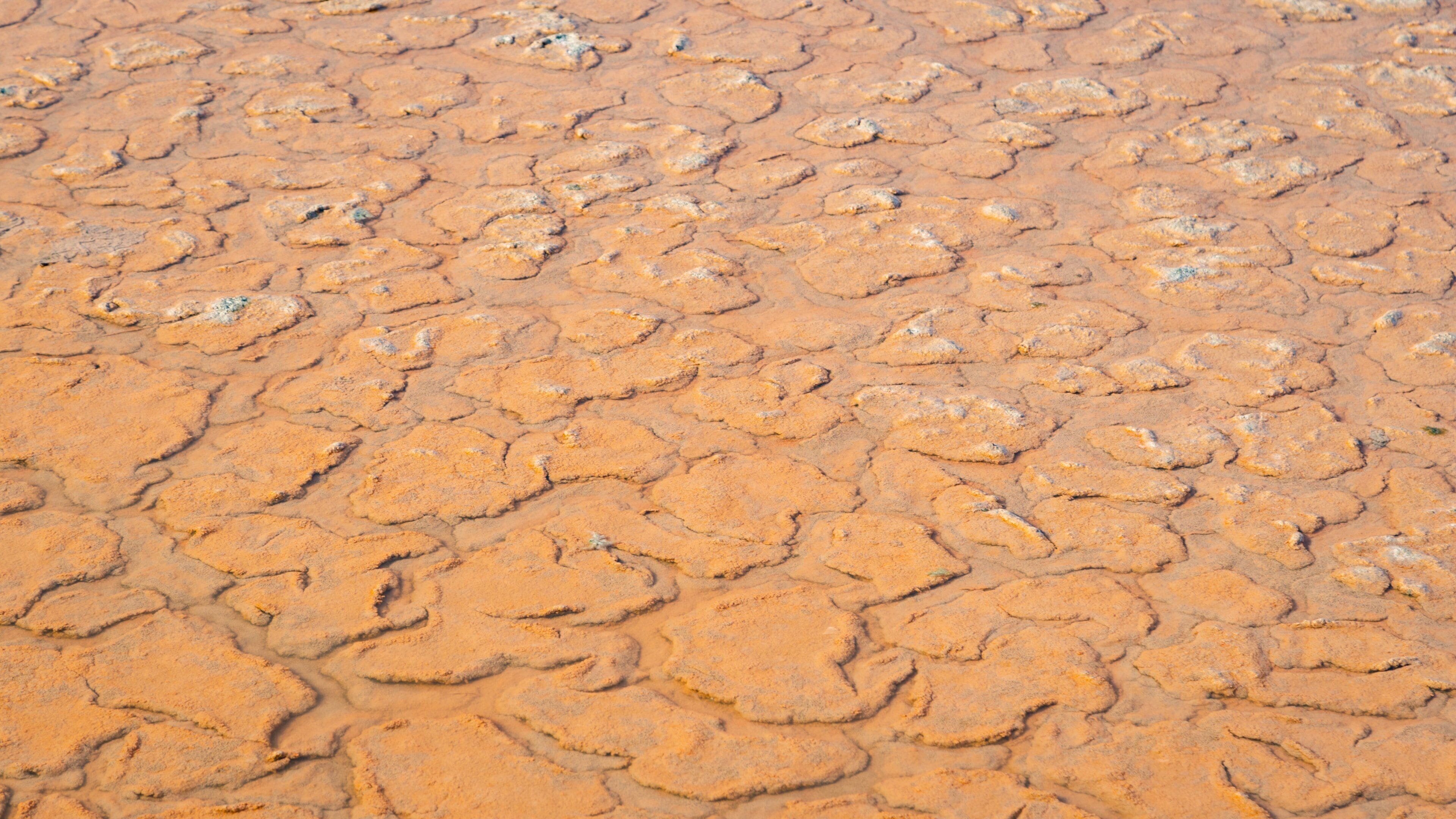 Parco della Salina di Cervia
