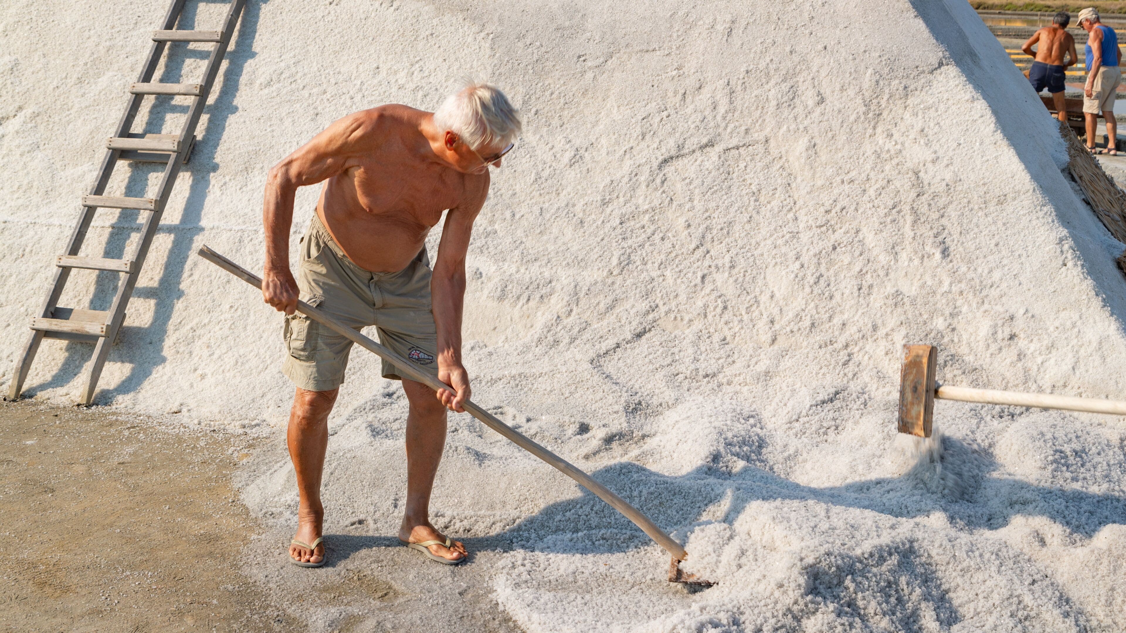 Parco della Salina di Cervia