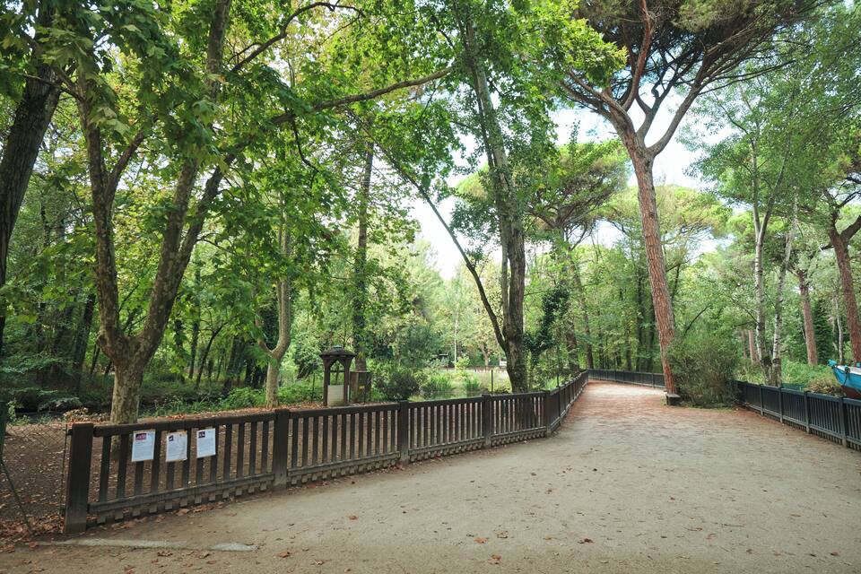 Camí boscós amb una tanca de fusta i un banc.