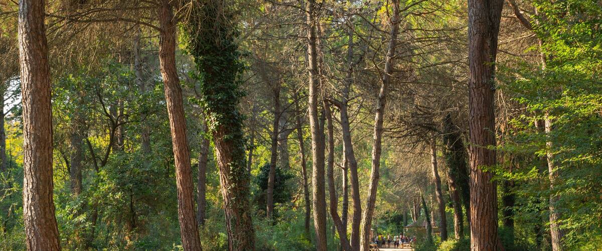 Cervia Natural Park featuring a garden