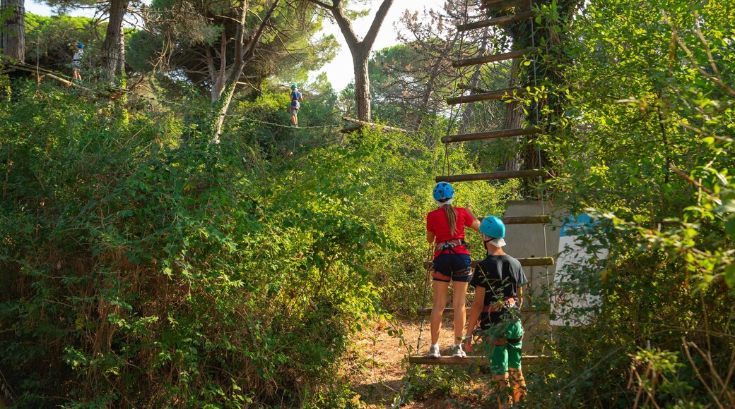 CerviAvventura Adventure Park