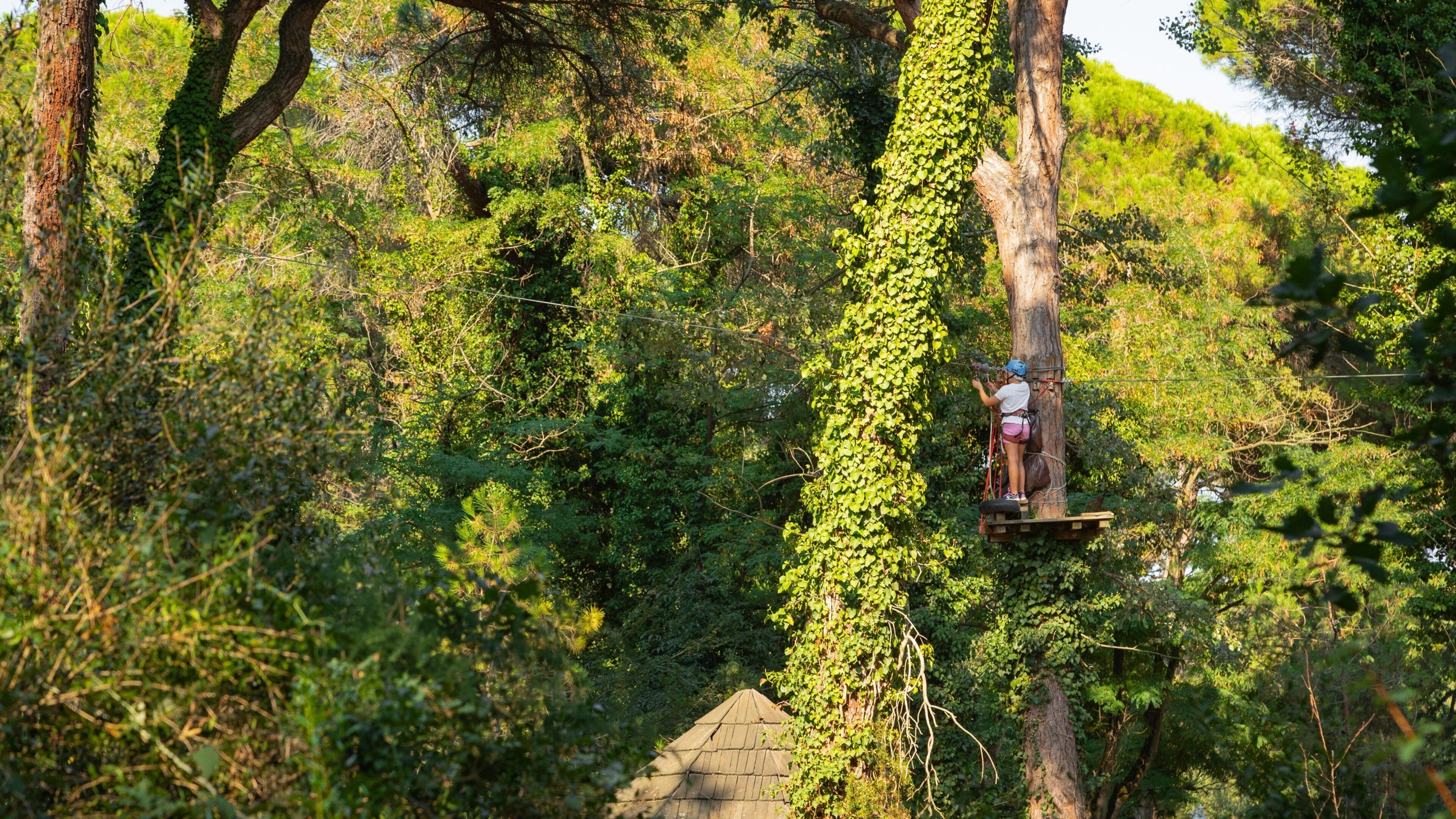 CerviAvventura Adventure Park which includes a suspension bridge or treetop walkway