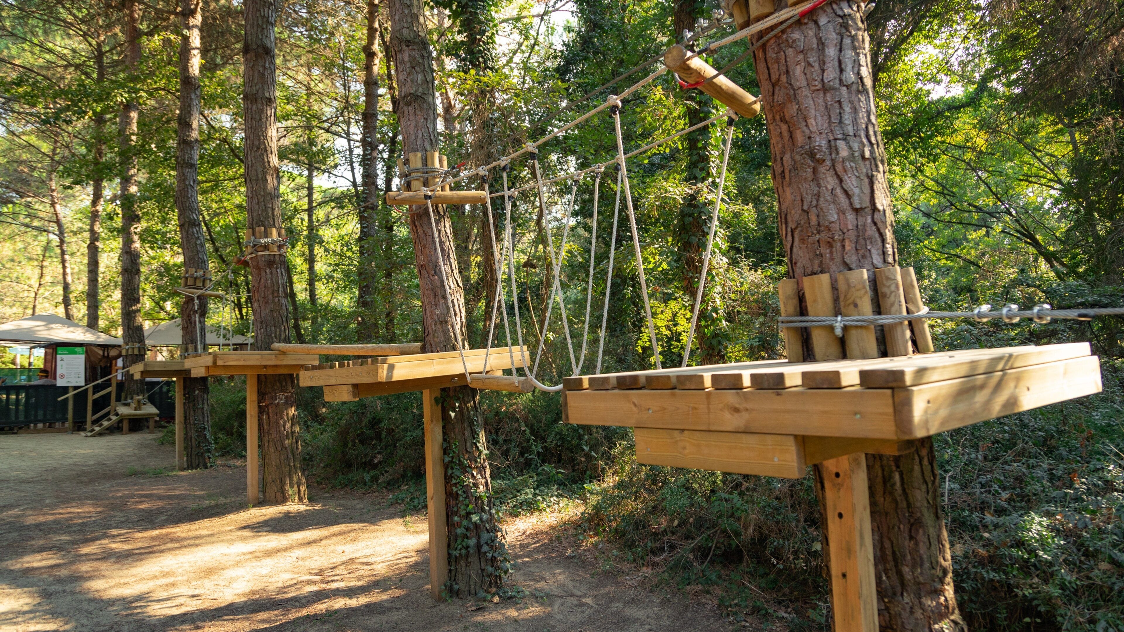 CerviAvventura Adventure Park showing a suspension bridge or treetop walkway