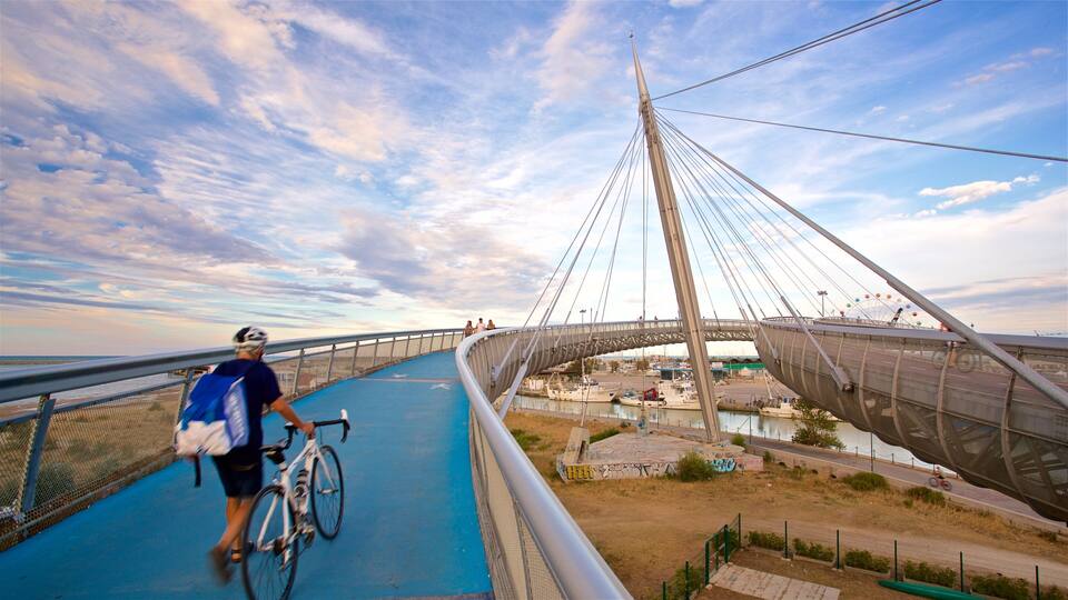 A cyclist on a blue bike path under a cable-stayed bridge with a view of the water and boats below.