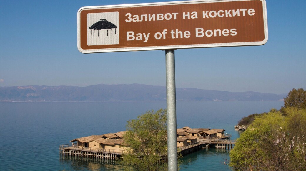 Getting excited to scuba dive the Bay of Bones in Macedonia.
http://www.divebuddies4life.com/macedonia-diving-the-bay-of-bones/