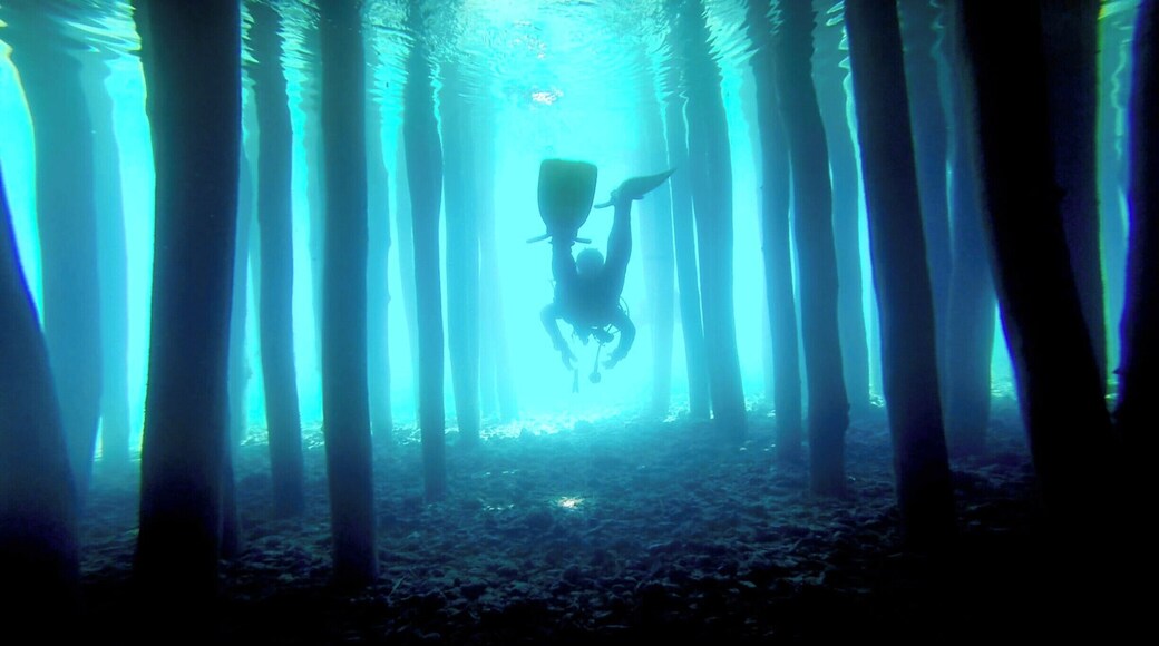 My first time diving beneath a UNESCO World Heritage Site!
http://www.divebuddies4life.com/macedonia-diving-the-bay-of-bones/
