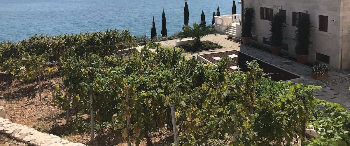 A coastal building with a vineyard in the foreground and a view of the sea.