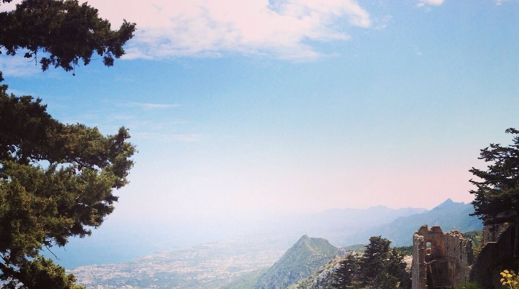 Based in the Turkish Republic of cyprus (TROC) it has great views over to kyrenia and the coast!