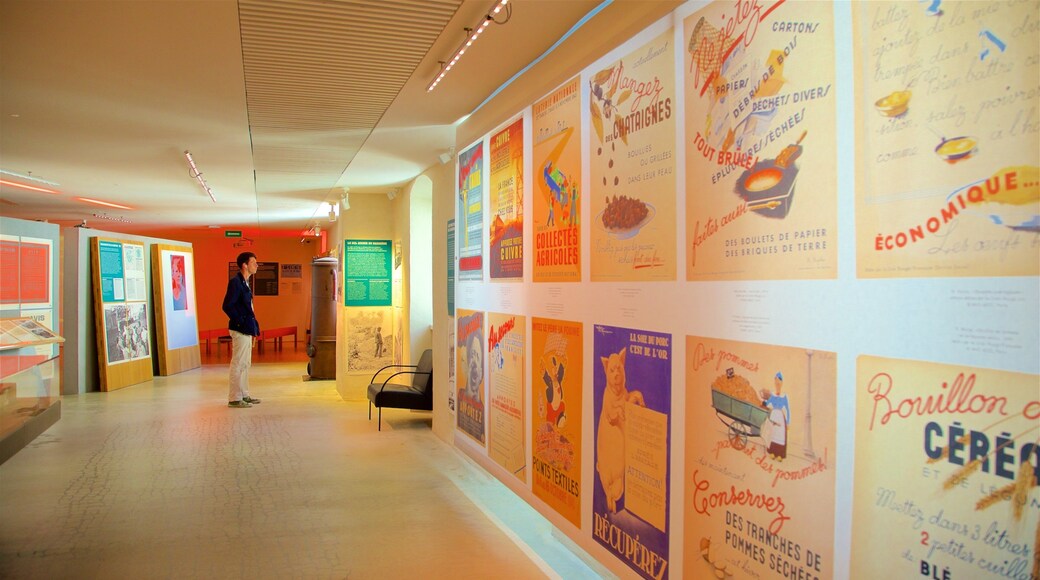 Musée de la Résistance showing art and interior views as well as an individual male