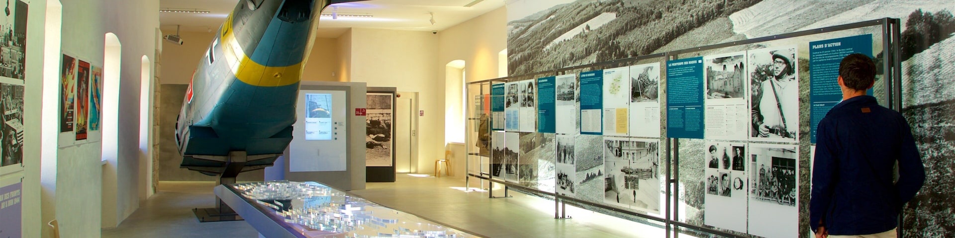Musée de la Résistance mostrando vistas internas assim como um homem sozinho