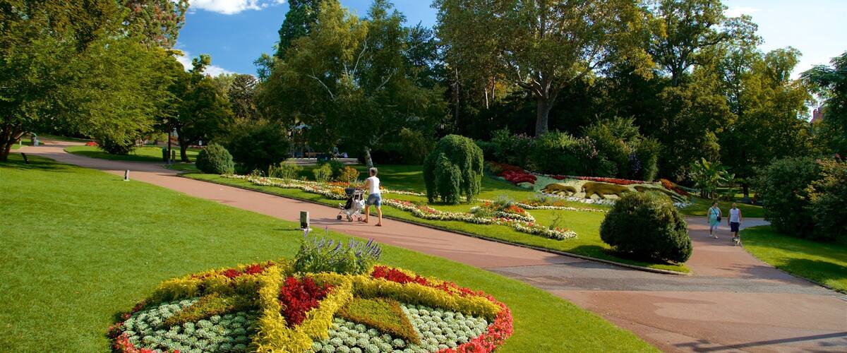 Jardin Lecoq showing flowers, hiking or walking and a park